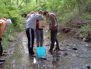 students in stream inspect animals