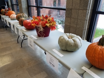 tables with pumpkins to bid on