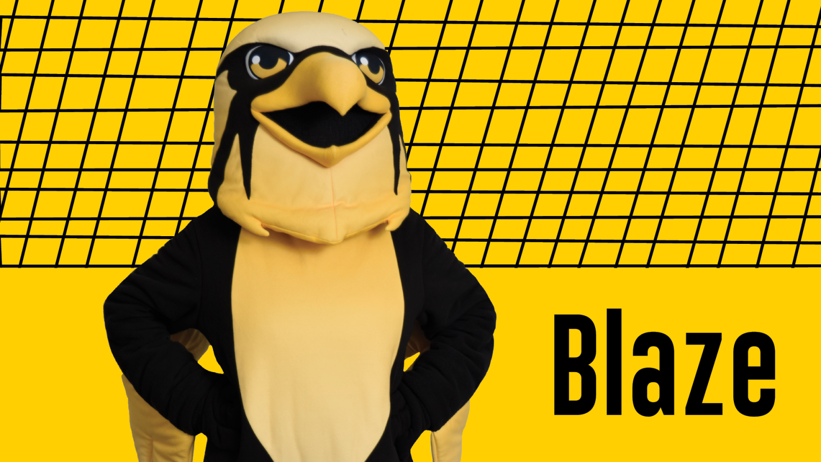 Meet the new bhc mascot Yellow and black bird mascot named blaze posing.