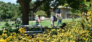 People walking in a park