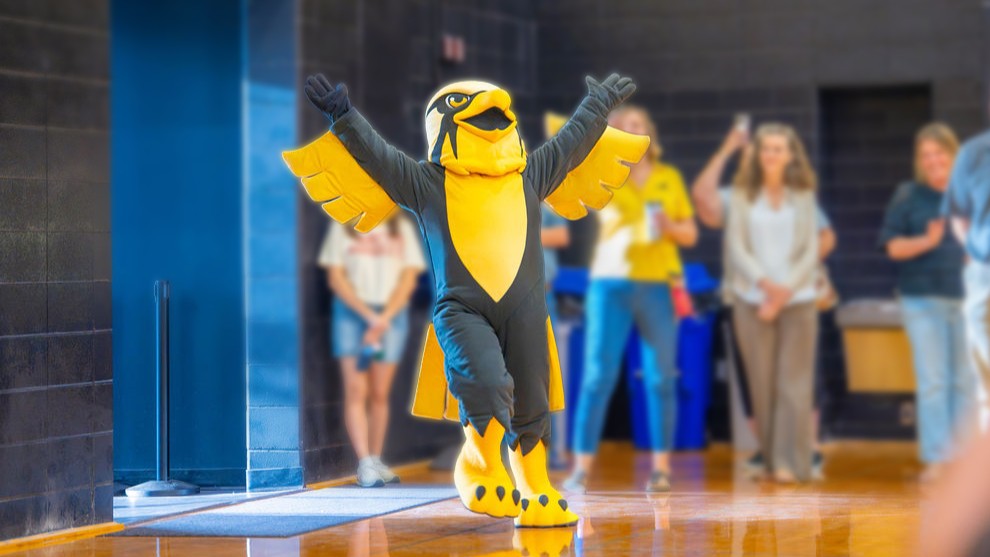 Person wearing black and yellow bird mascot costume in a gym with people.
