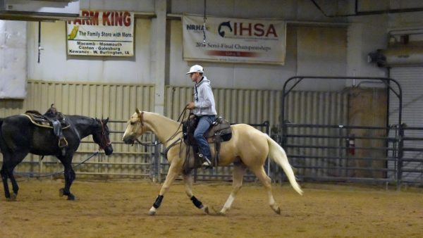 Rider on a palomino horse