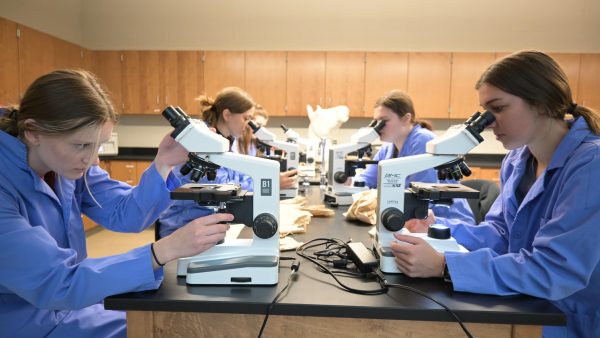 Students using microscopes in lab