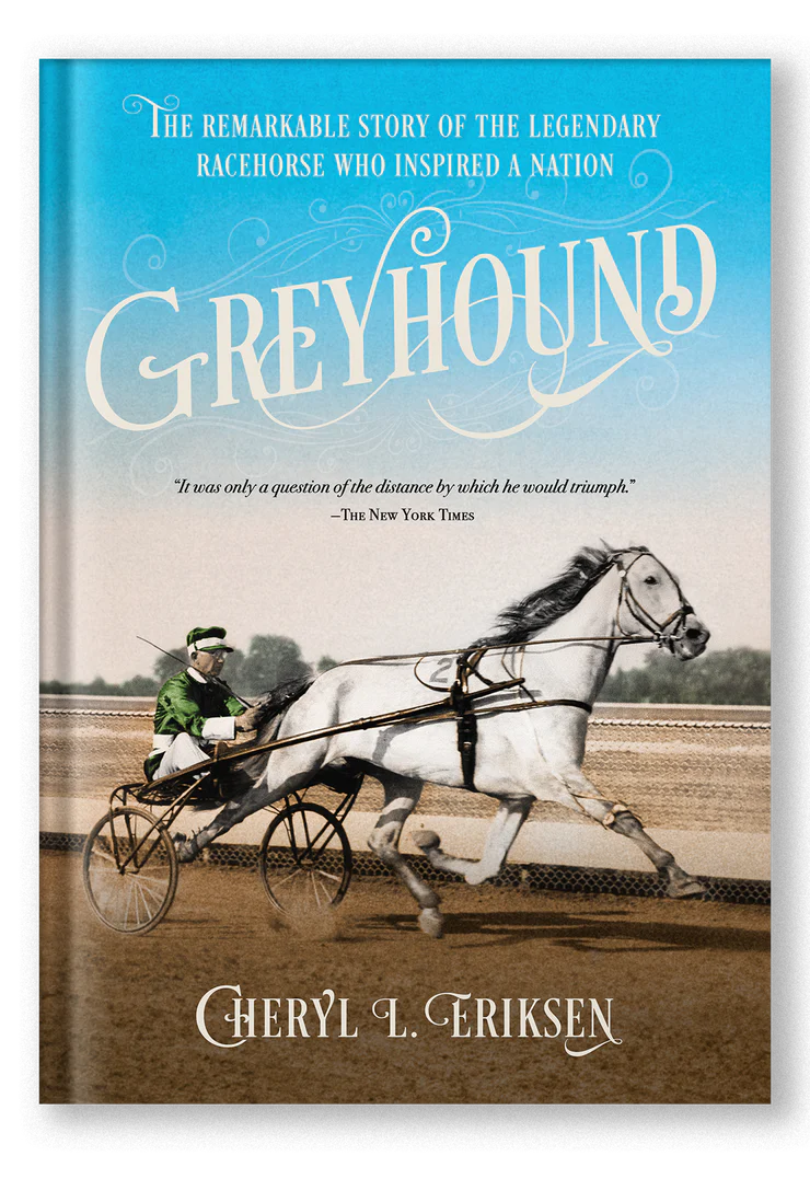 book cover for Greyhound by Cheryl Eriksen