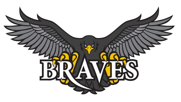 Black hawk with wings spread wide and