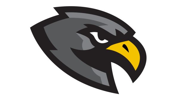 Stylized hawk head logo design