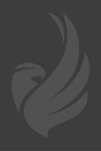 A grey bird with wings on dark background