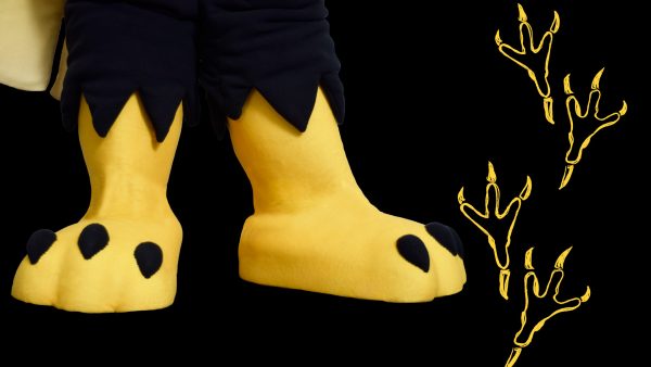 Bird mascot's feet with illustrated feetprints on a solid background.