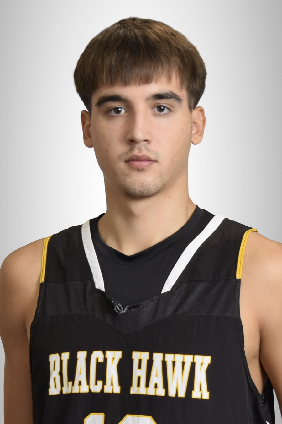 Men's basketball roster Mihajlo veljkovic