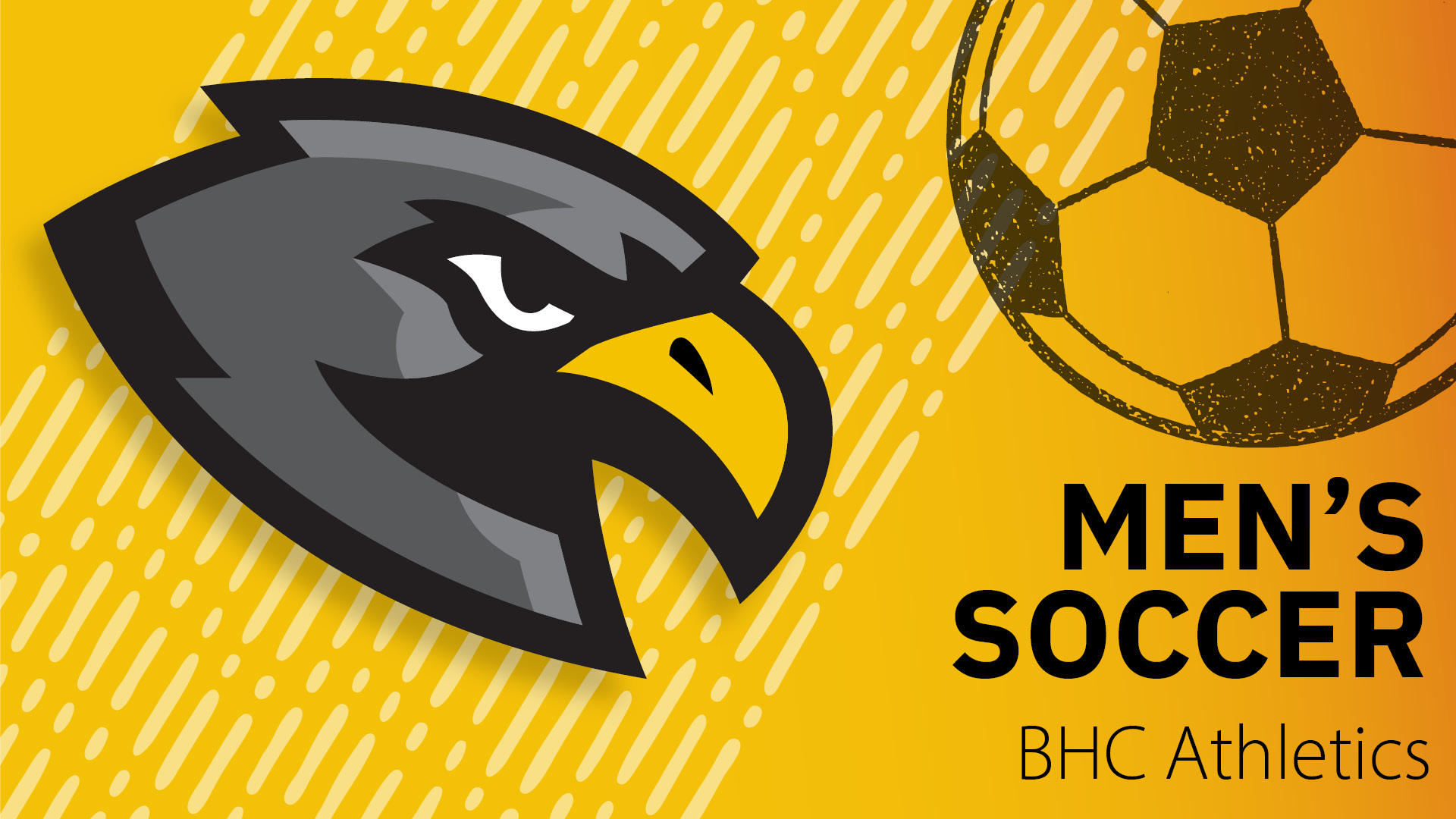 a logo of a bird head