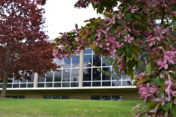 Current students A building with windows and trees
