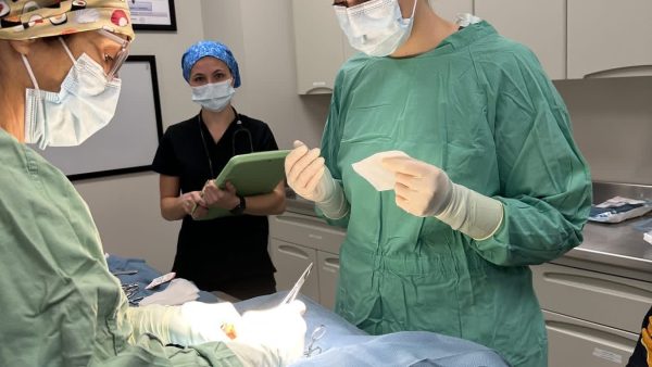 Surgical team performing a procedure.