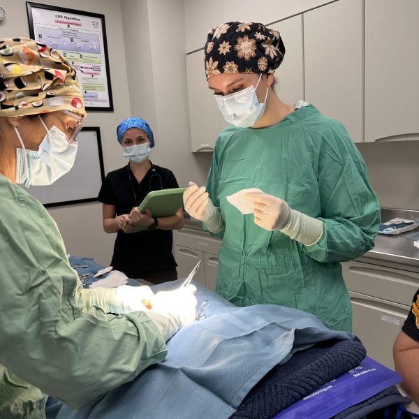 Surgical team performing a procedure.