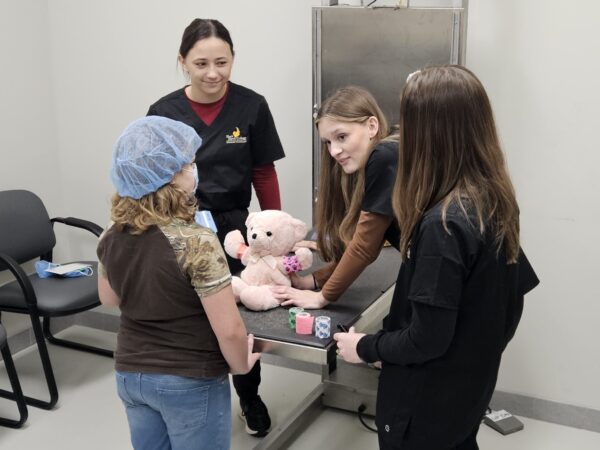 Teddy bear hospital 2025 3