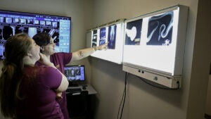 A person pointing at x-ray images