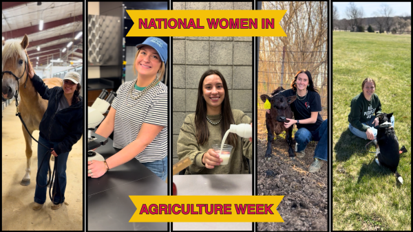 A collage of five photos of college women working in agriculture: one standing with a horse, one smiling beside a microscope in a lab, one pouring milk at a table, one crouching next to a calf in an outdoor pen, and one sitting on grass with her dog. A yellow banner reads “National Women in Agriculture Week.”
