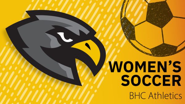 A logo of a bird