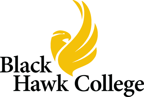 Yellow hawk logo with text