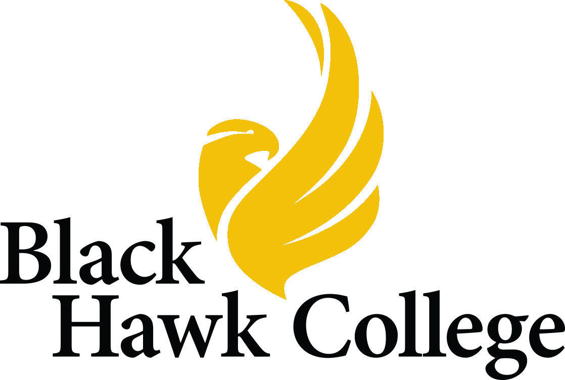 Yellow hawk logo with text