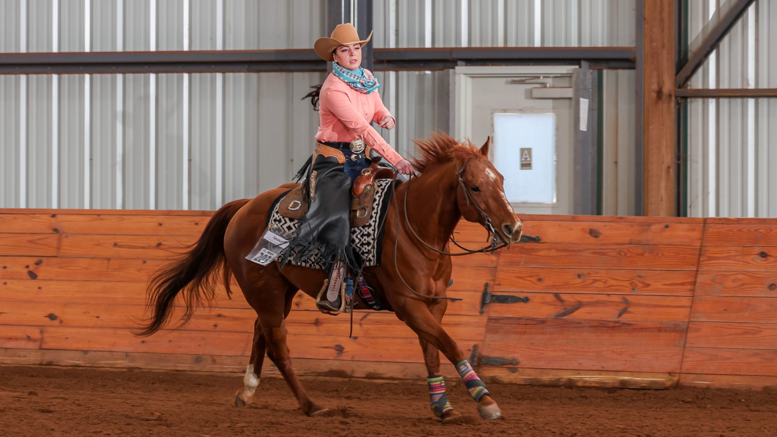 Robin moreland memorial ranch series Western equestrian rider on horse in an arena.