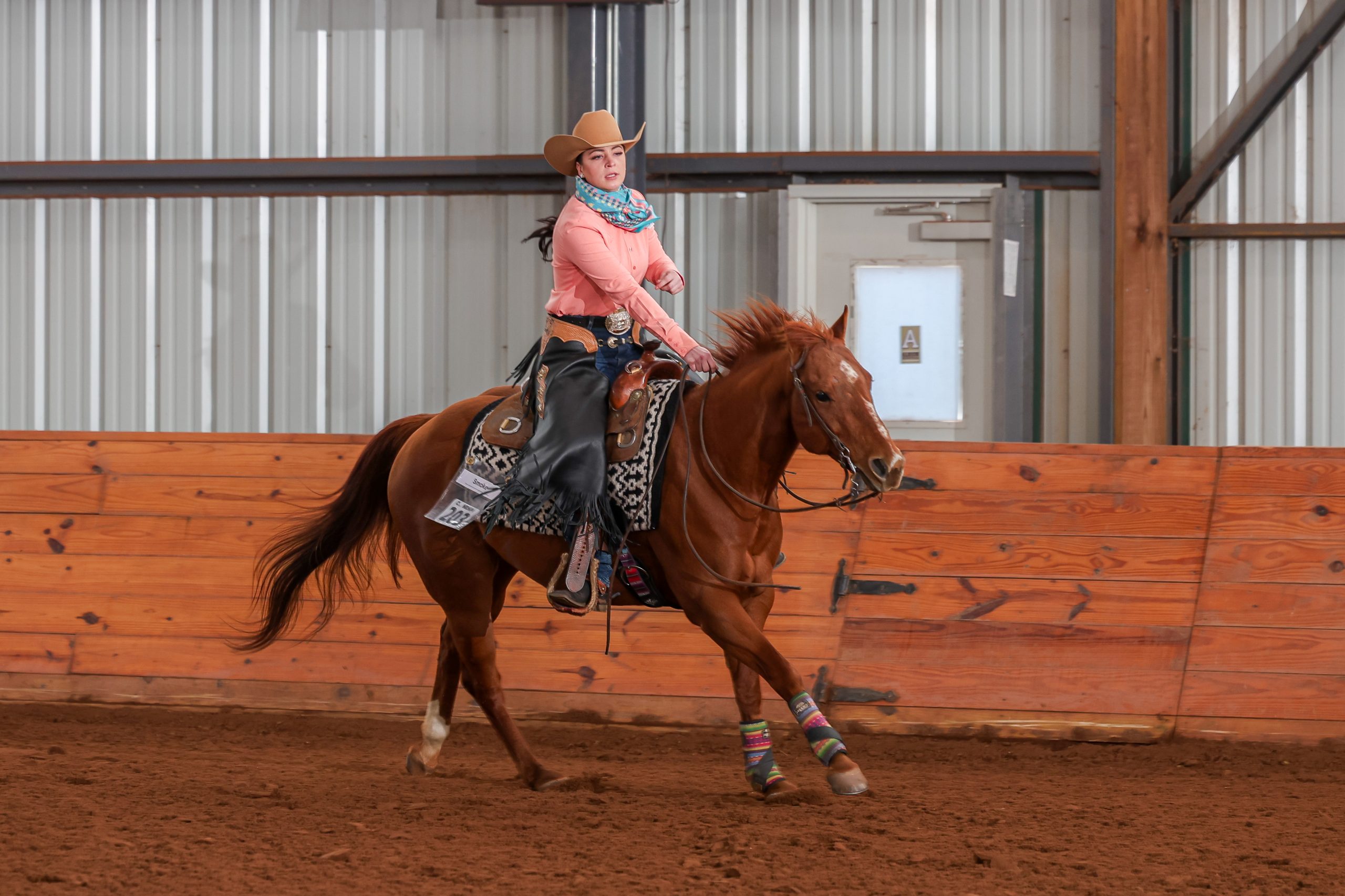 Western equestrian rider on horse in an arena.