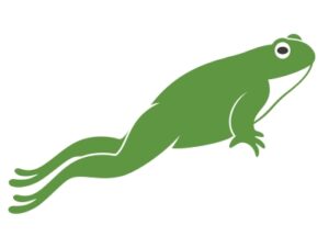 Cartoon frog leaping.