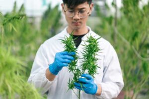 A person holding plants in his hands
