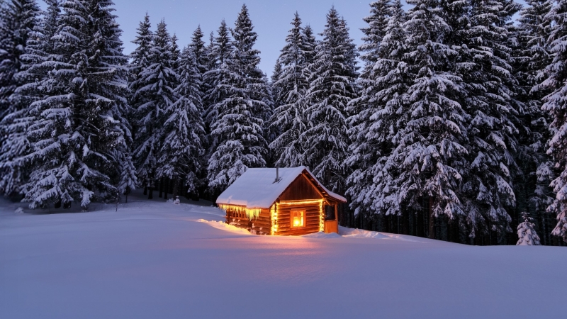 cabin with lights and snow in foreground with snow-covered pine trees in background.